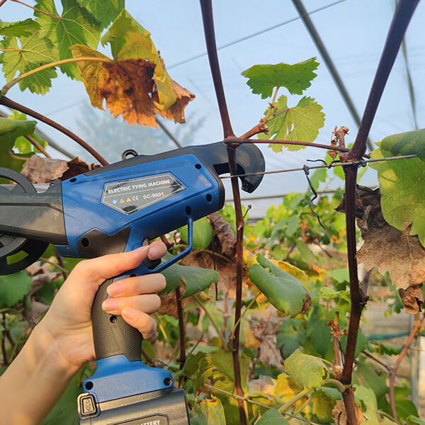 How exactly to Use Our Garden Tying Tool?