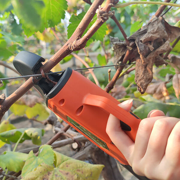 Security concerning the Garden Plant Tying Vine Tape Tool