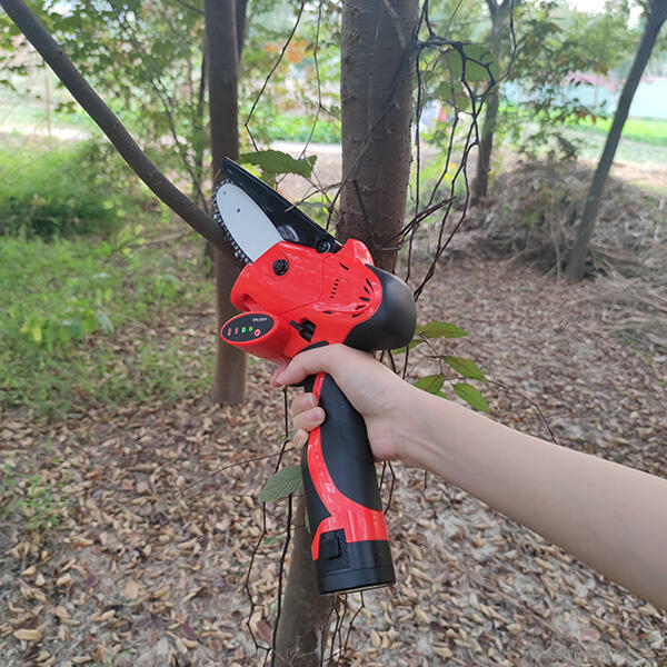 Utilizing An Electric Pruning Chainsaw