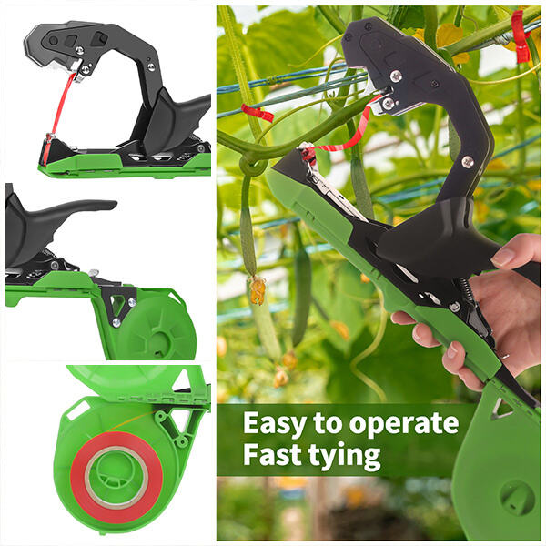 Innovation in Vine Tying Devices