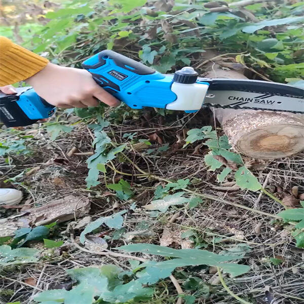 Innovation of Vineyard Pruning Shears