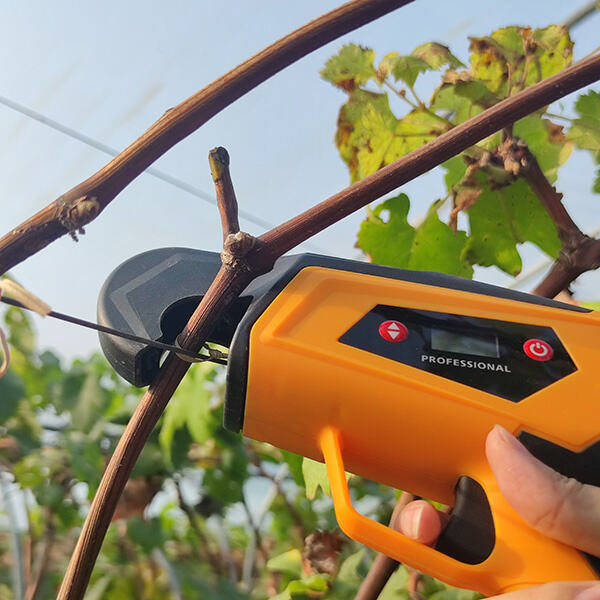 Security of Using a Garden Tying Machine