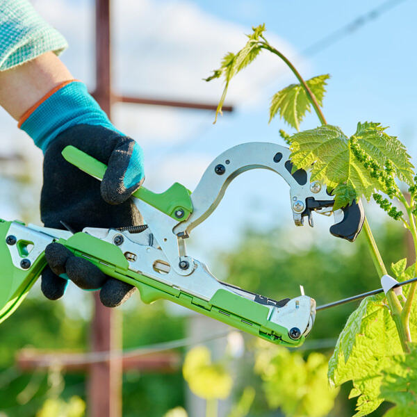 Attributes of Battery Operated Pruners: