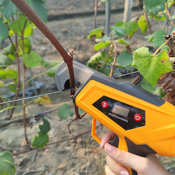 Safety and Utilization Of Cordless Vine Tying Tools