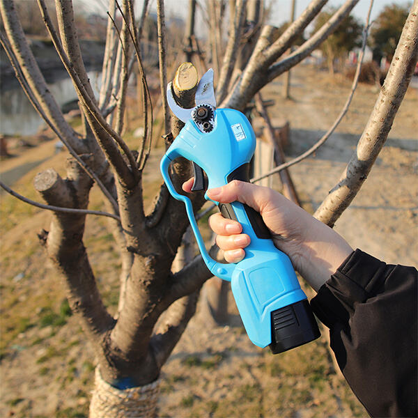 Innovation in Hand-Held Electric Pruning Shears