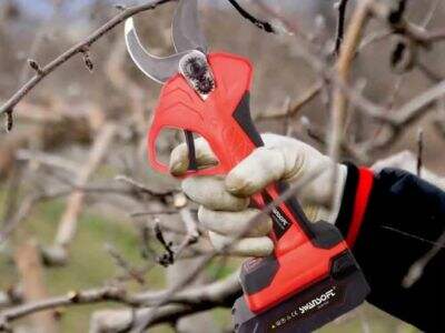 Does Swansoft electric pruning shear have exhibitions in Europe in 2024?