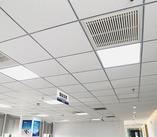 Office ceiling-Kente Hebei office