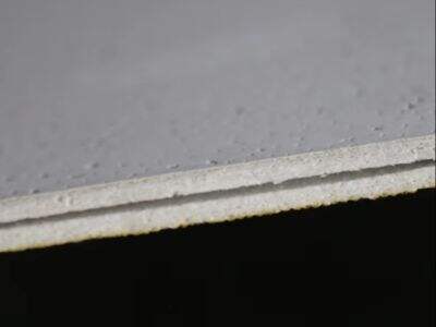 Mineral fiber ceiling tiles with fire resistance and moisture resistance performance