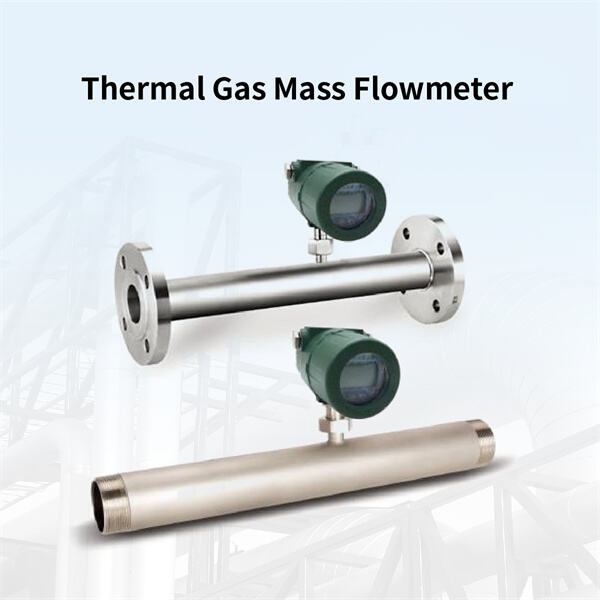 Safety of Fuel Flow Meters