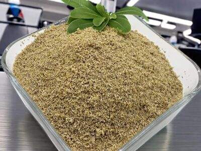 Citric Acid Monohydrate vs. Anhydrous: Understanding the Differences