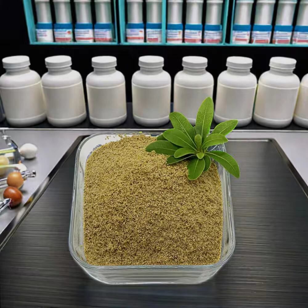 Rivoluziona la tua cura per il GERD con integratori di Betaina