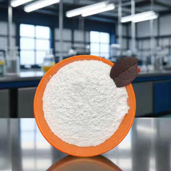 Which One Should You Use?