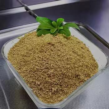 High Quality Betaine Anhydrous for Wholesale Buyers