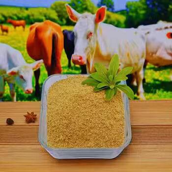 The Science Behind Betaine HCl's Antifungal Properties Against Candida