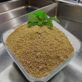 Improve Digestive Health Naturally