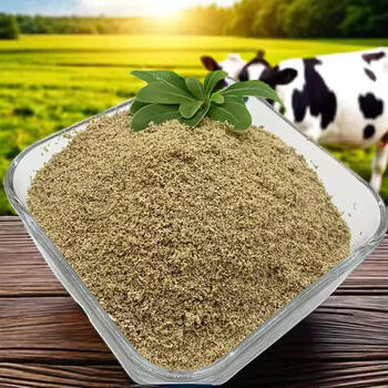 Mehr Energie, Bessere Gesundheit mit Betain Natural