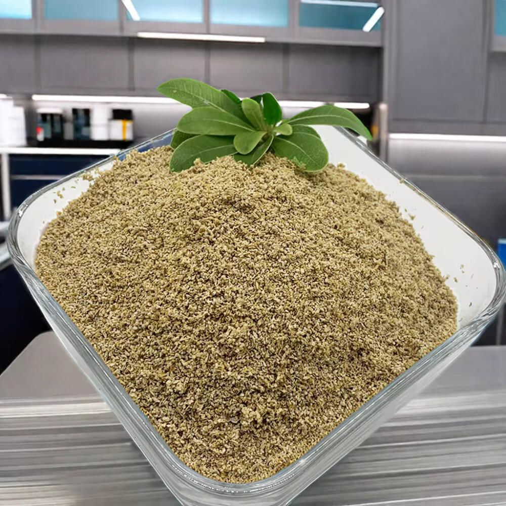 The Secret Ingredient for Enhanced Exercise Endurance