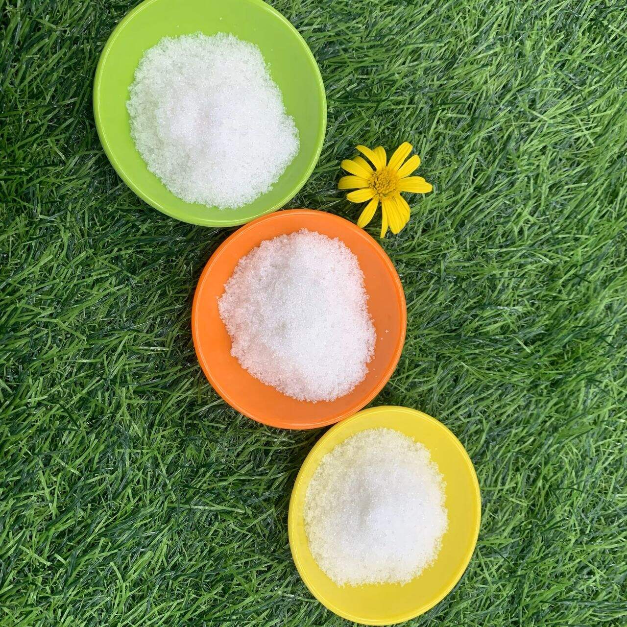 How Betaine Hydrochloride Enhances Nutrient Absorption