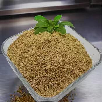 How Betaine Hydrochloride Enhances Nutrient Absorption