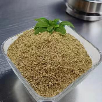 Say Goodbye to Indigestion and Bloating