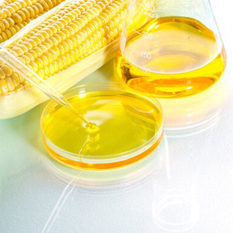 Intellegendum de Triticum et Contentu Fructus