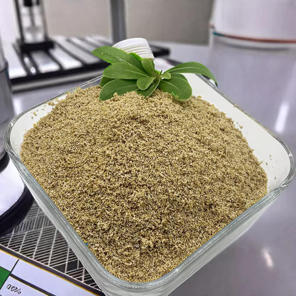 Uncovering the Powers of Betaine Vitamin