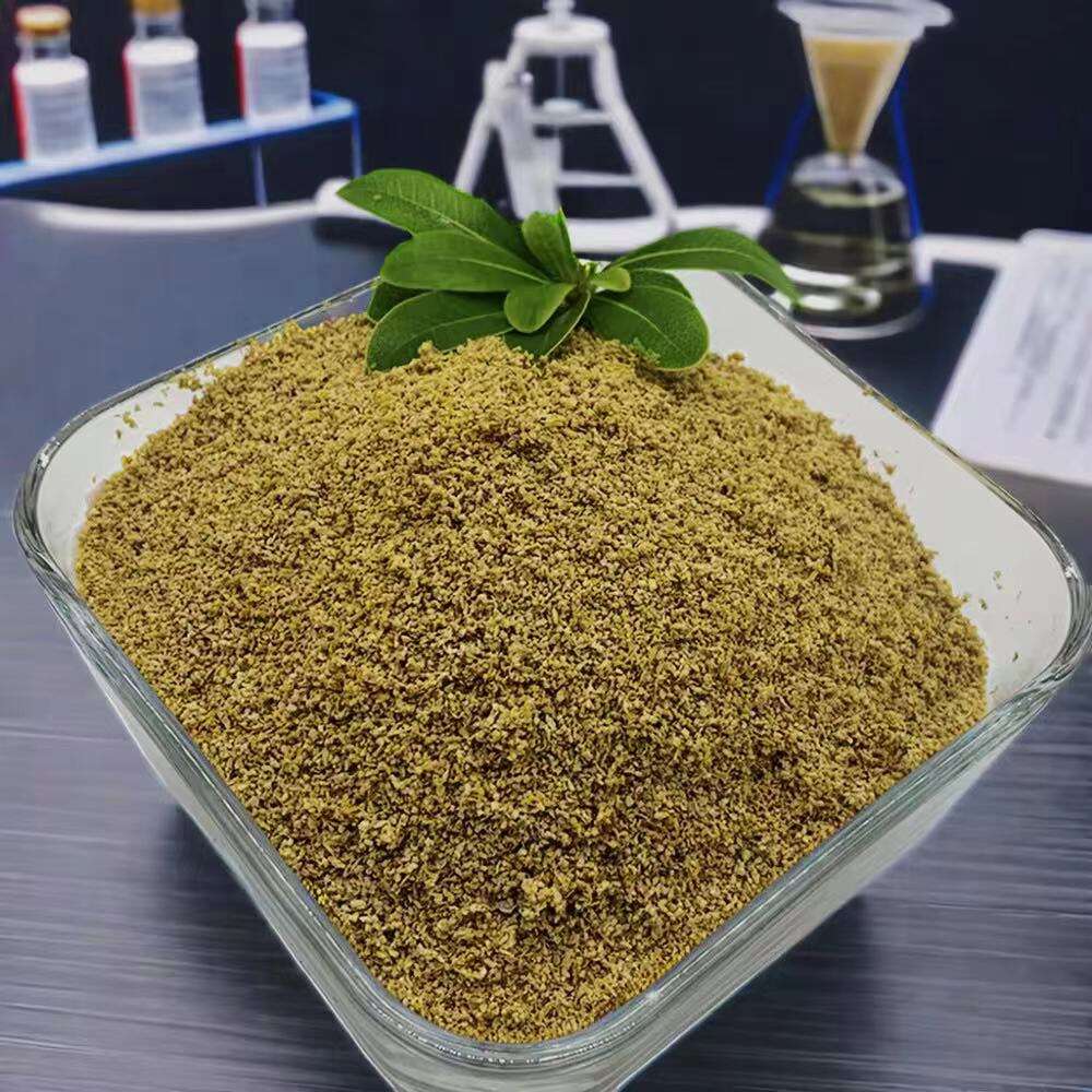 Bột Betaine Cho Tiêu Hóa Tốt Hơn