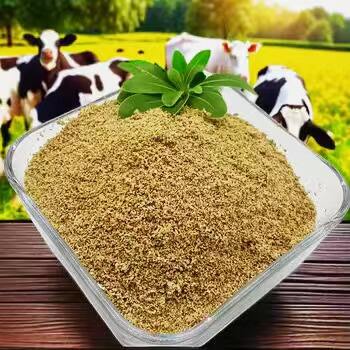 The Power of Betaine Hydrochloride Powder on Gut Health