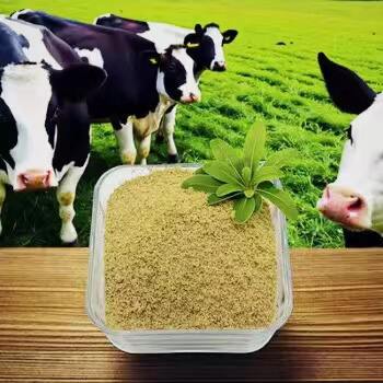 Sử dụng các đặc tính tăng cường miễn dịch của Betaine Plus để đạt được sức khỏe tối ưu.