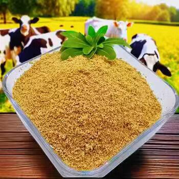 Using Beetroot Betaine as a Natural Remedy for Digestive Issues