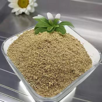 Maximize Nutrient Absorption with Betaine HCL Powder