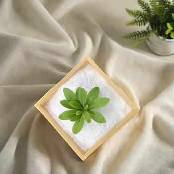 Understanding Acesulfame K and Sucralose