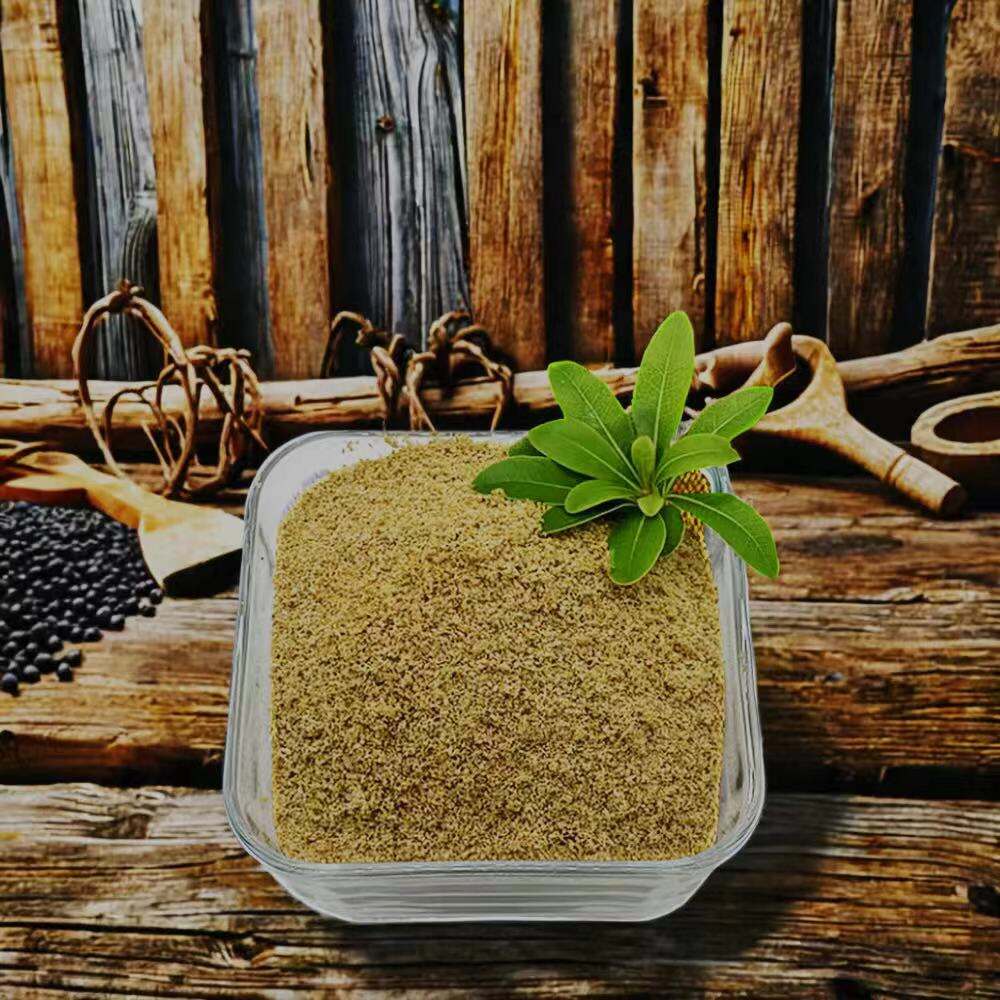 Exploring the Pros and Cons of Supplementation