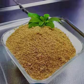 Discover the benefits of betaine HCl-rich foods