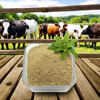 Cách Betaine HCL có thể giúp khôi phục sức khỏe tiêu hóa của bạn