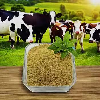 Sana tu Intestino con Alimentos Cargados de Betaina para una Mejor Digestión