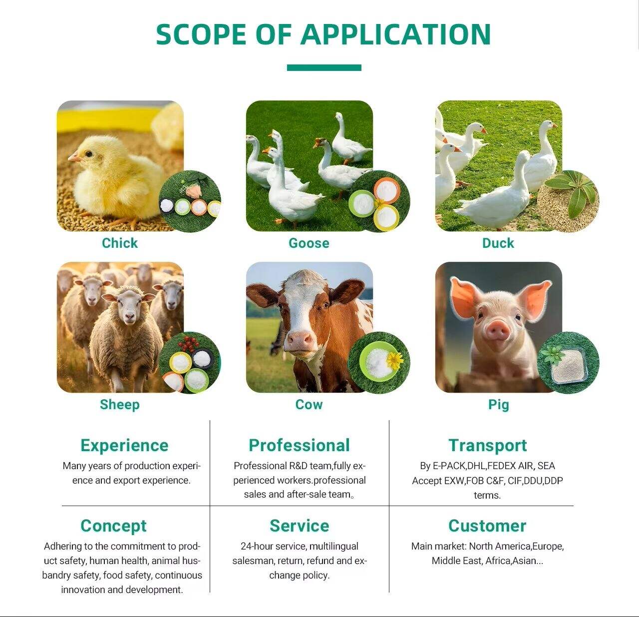 Say Goodbye to Fatigue with Betaine Natural