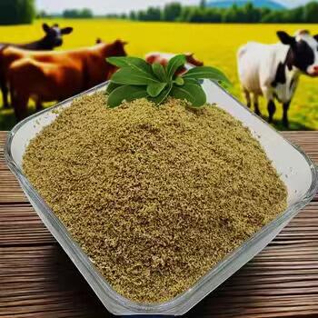 A natural solution to combat candida symptoms