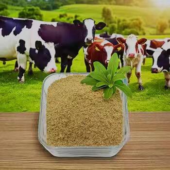 Betaine Hydrochloride Supplements