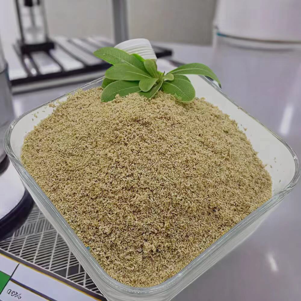 Enhance Your Workout Results with Betaine Anhydrous