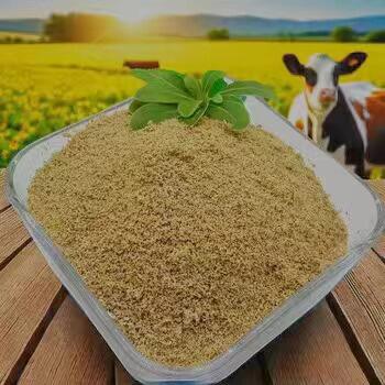 Revolutionizing Water Treatment with Betaine Chloride