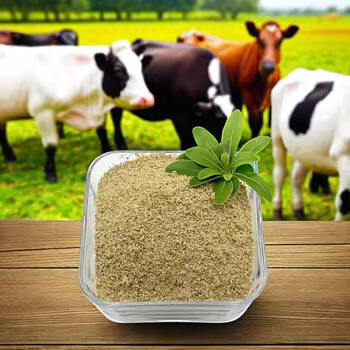 Vai trò của Betaine HCL đối với bệnh GERD