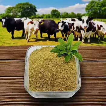 Đấu tranh chống tổn thương gan và hỗ trợ chức năng gan với Betaine Plus.
