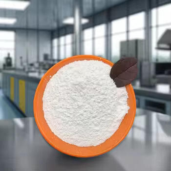 Facts You Need to Know