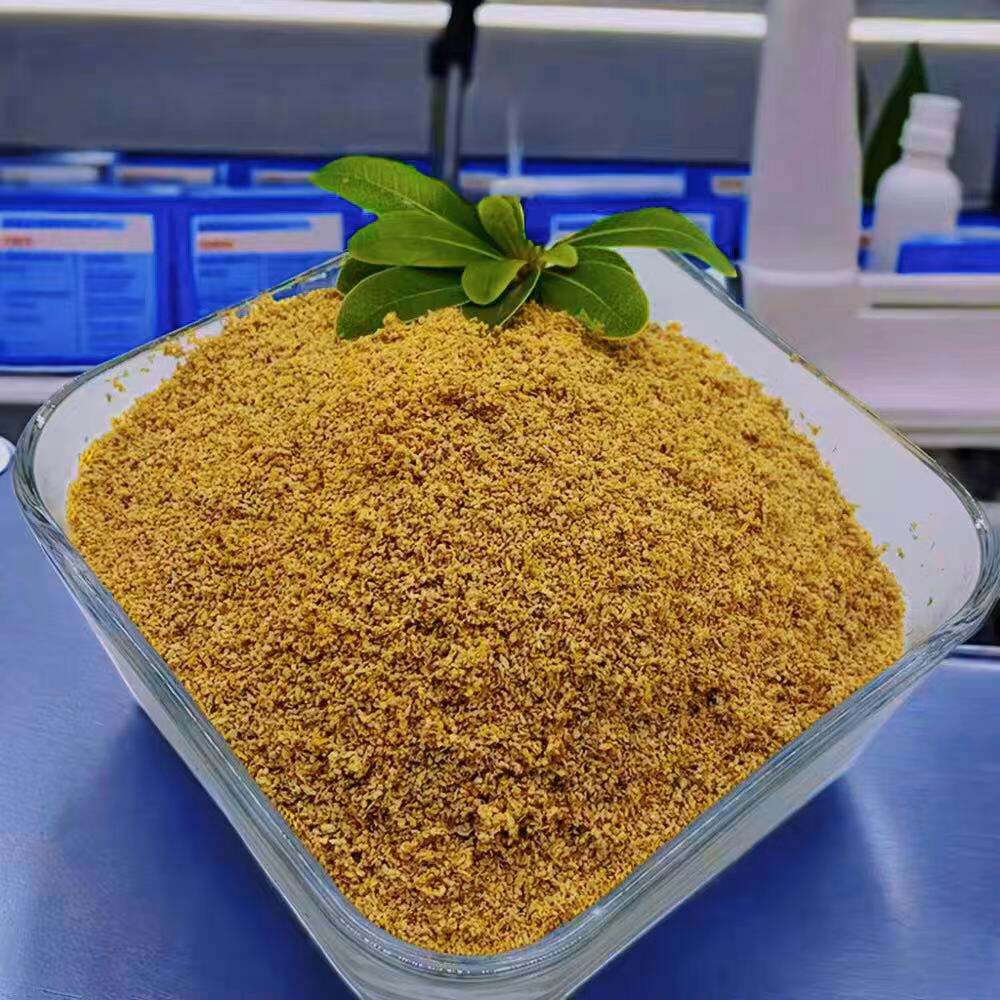 Boost Your Athletic Performance with Beetroot Betaine Supplementation