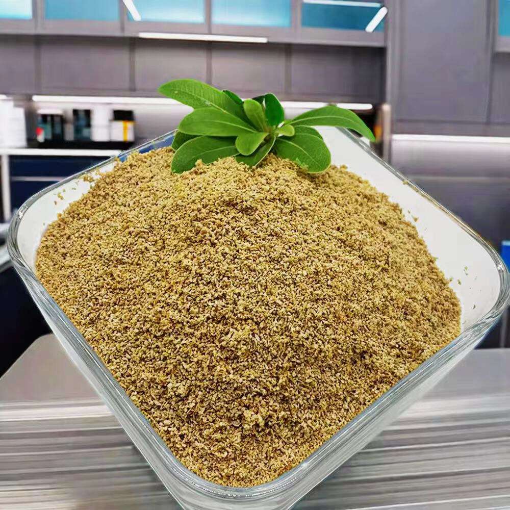 Nói lời tạm biệt với chứng ợ nóng cùng betaine HCl