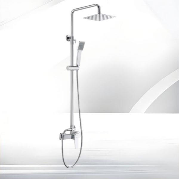 Convenient and practical solution for a dual shower system