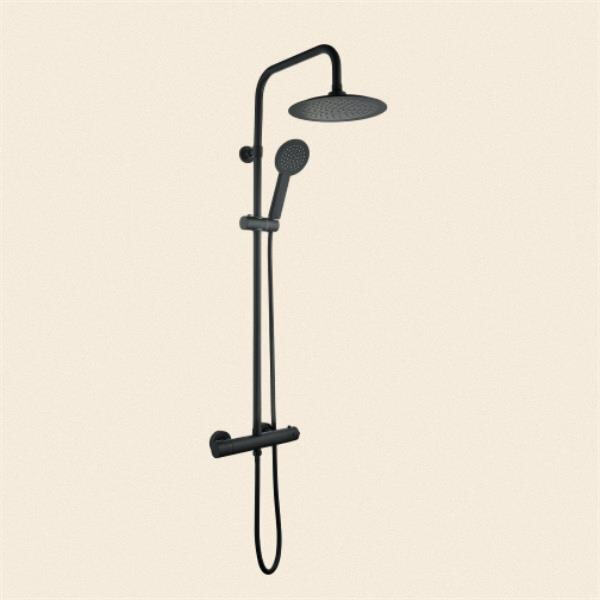 Upgrade your bathroom experience with a mixer shower that includes a diverter