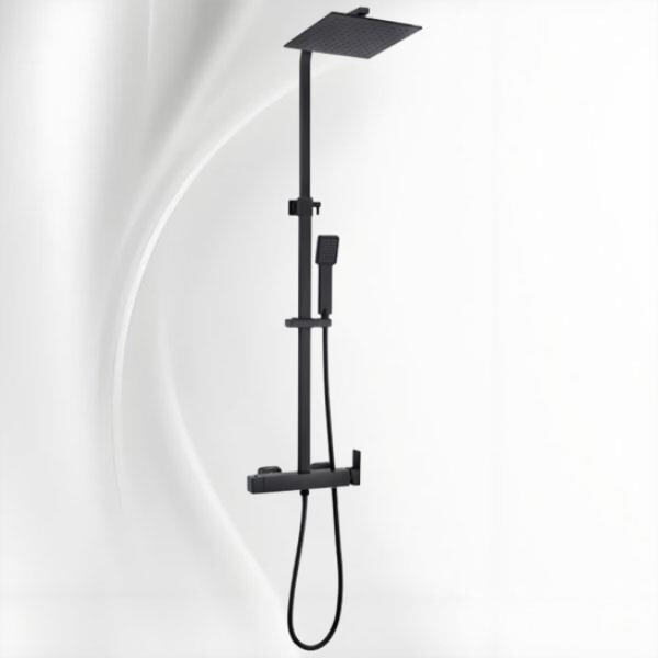 Effortlessly control water temperature with dual thermostatic shower controls
