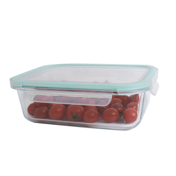 Safety of Lunch Box Containers Glass